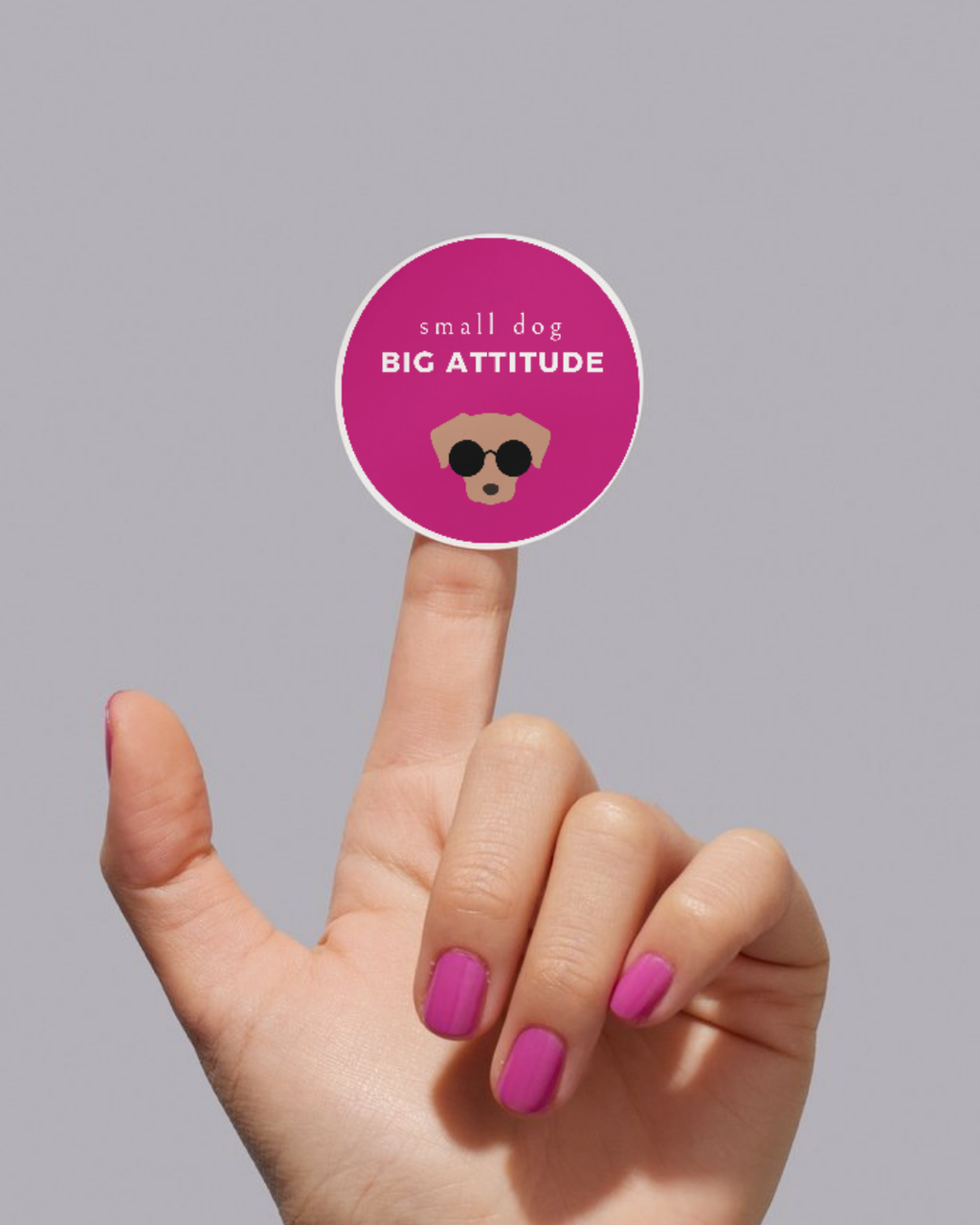 stiqly styles – for leashes with character